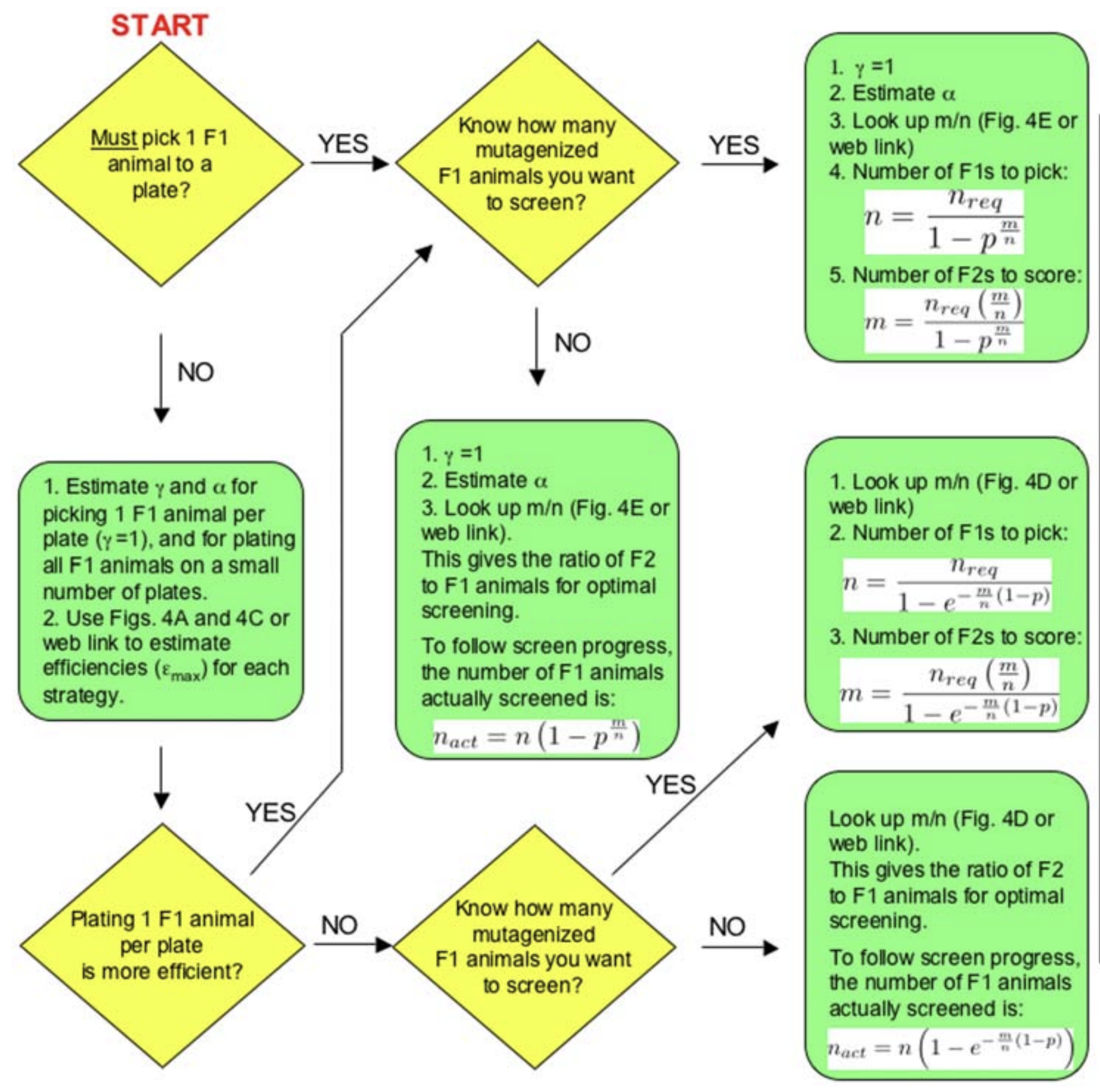 Optimizing genetic screens.